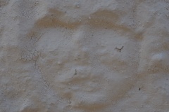 ALS 54 - Podgorie - 07