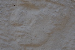 ALS 54 - Podgorie - 03