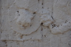 ALS 54 - Podgorie - 08