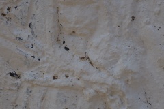 ALS 54 - Podgorie - 12