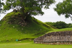 Altun Ha - Belize
