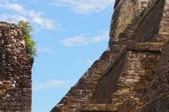 Altun Ha - Belize