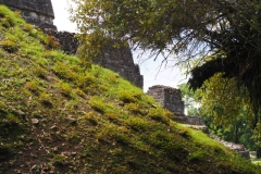 Altun Ha - Belize