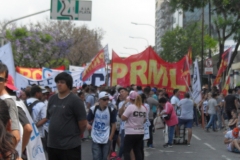 Anti-G-20 Summit Demonstration 2018