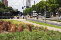 Anti-G-20 Summit Demonstration 2018