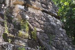 Balam Ku - Campeche
