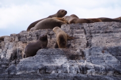Beagle Channel and islands off Ushuaia