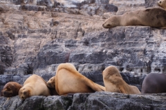 Beagle Channel and islands off Ushuaia