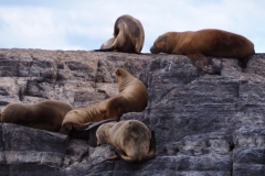 Beagle Channel and islands off Ushuaia
