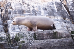 Beagle Channel and islands off Ushuaia