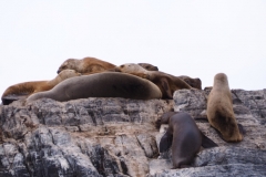 Beagle Channel and islands off Ushuaia