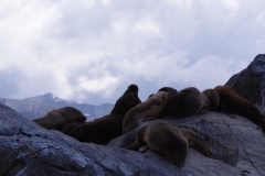 Beagle Channel and islands off Ushuaia