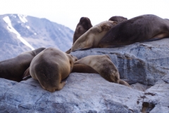 Beagle Channel and islands off Ushuaia