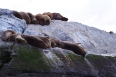 Beagle Channel and islands off Ushuaia