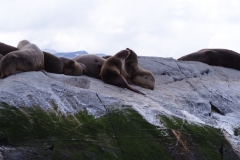 Beagle Channel and islands off Ushuaia
