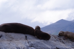 Beagle Channel and islands off Ushuaia