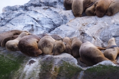 Beagle Channel and islands off Ushuaia