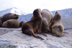 Beagle Channel and islands off Ushuaia