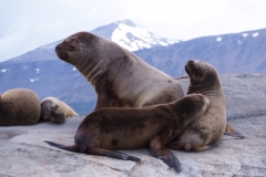 Beagle Channel and islands off Ushuaia