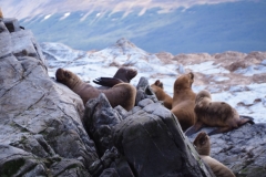 Beagle Channel and islands off Ushuaia