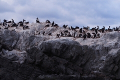 Beagle Channel and islands off Ushuaia