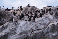 Beagle Channel and islands off Ushuaia