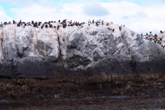 Beagle Channel and islands off Ushuaia