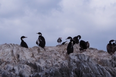Beagle Channel and islands off Ushuaia