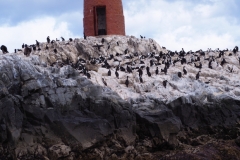 Beagle Channel and islands off Ushuaia