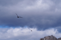 Beagle Channel and islands off Ushuaia