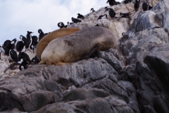 Beagle Channel and islands off Ushuaia