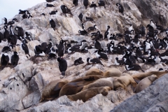 Beagle Channel and islands off Ushuaia