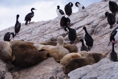 Beagle Channel and islands off Ushuaia