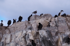 Beagle Channel and islands off Ushuaia