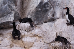 Beagle Channel and islands off Ushuaia