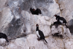 Beagle Channel and islands off Ushuaia