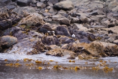 Beagle Channel and islands off Ushuaia