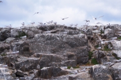 Beagle Channel and islands off Ushuaia