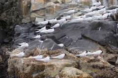 Beagle Channel and islands off Ushuaia