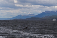 Beagle Channel and islands off Ushuaia
