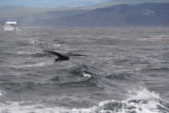 Beagle Channel and islands off Ushuaia