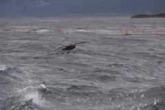 Beagle Channel and islands off Ushuaia