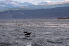 Beagle Channel and islands off Ushuaia