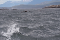Beagle Channel and islands off Ushuaia