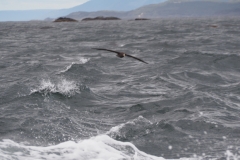 Beagle Channel and islands off Ushuaia