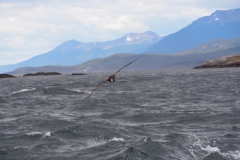 Beagle Channel and islands off Ushuaia