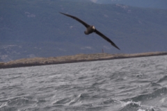 Beagle Channel and islands off Ushuaia