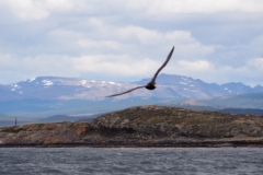 Beagle Channel and islands off Ushuaia