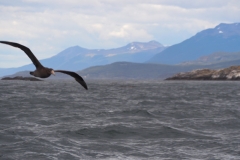 Beagle Channel and islands off Ushuaia