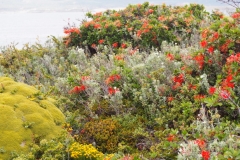 Beagle Channel and islands off Ushuaia